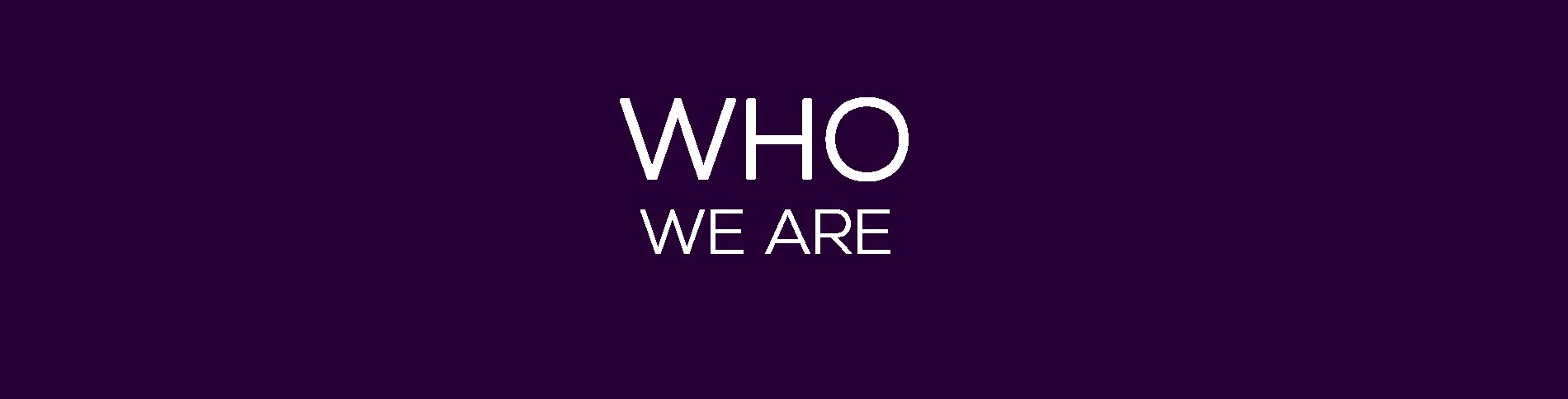 Our team