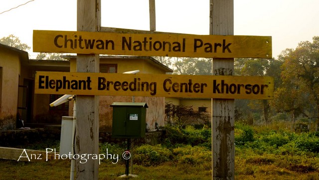 Chitwan National Park & Jungle Tour