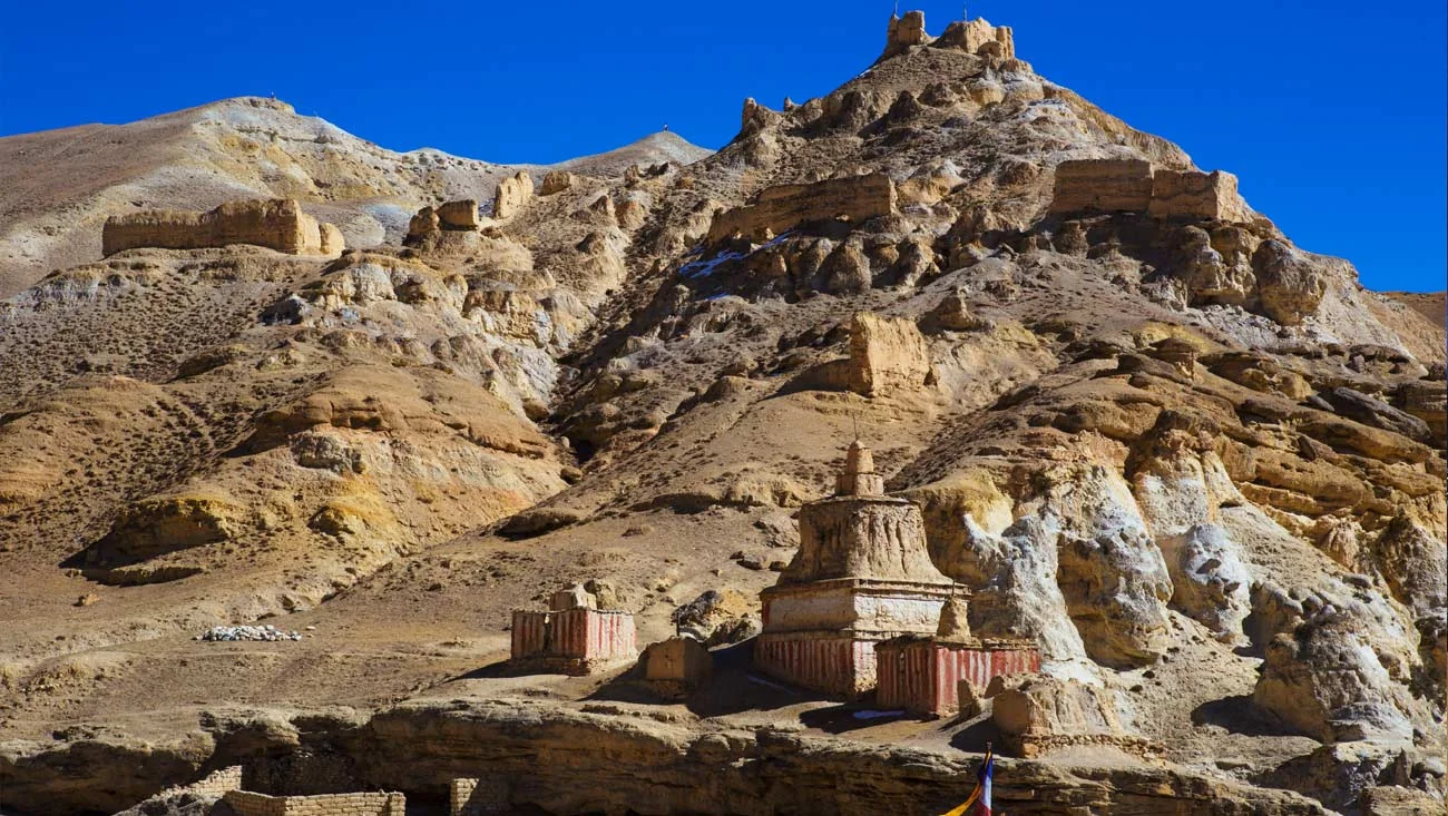 Mustang Tour: The Green Desert
