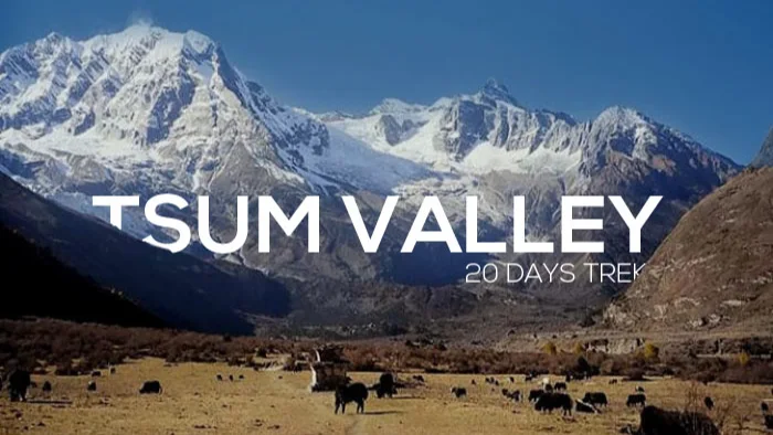 Tsum Valley Treks